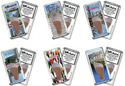 Albany, NY FootWhere® Souvenir Fridge Magnets. 6 Piece Set. Made in USA-FootWhere® Souvenirs